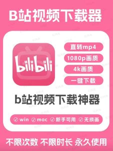 2026最新版超实用B站视频下载工具 畅享海量无水印视频-知芽创业社