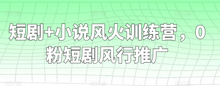 短剧+小说风火训练营，0粉短剧风行推广-知芽创业社