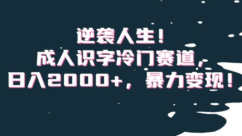 逆袭人生！成人识字冷门赛道，日入2000+，暴力变现！【揭秘】-知芽创业社