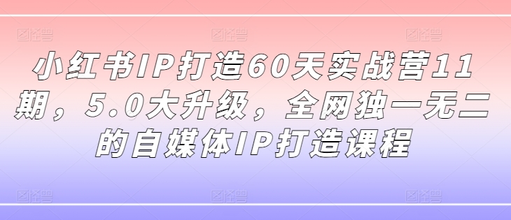 小红书IP打造60天实战营11期，5.0大升级，全网独一无二的自媒体IP打造课程-知芽创业社