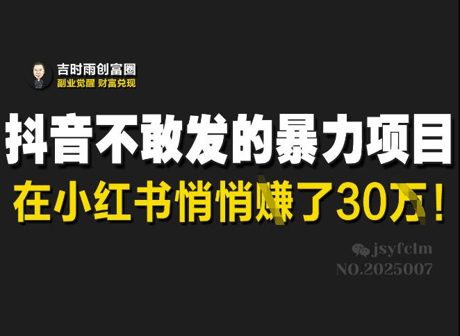 抖音不敢发的暴利项目，在小红书悄悄挣了30W-小艾项目网