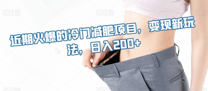 近期火爆的冷门减肥项目，变现新玩法，日入200+-知芽创业社