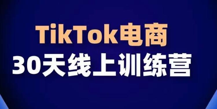 TikTok电商带货30天线上课，不可错过的全球流量洼地！-知芽创业社