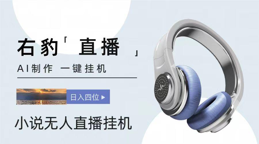 右豹小说无人直播挂机吸金项目，简单易行收益稳定， 月入1000+-知芽创业社