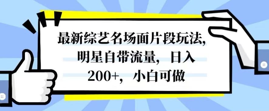 最新综艺名场面片段玩法，明星自带流量，日入200+，小白可做【揭秘】-知芽创业社