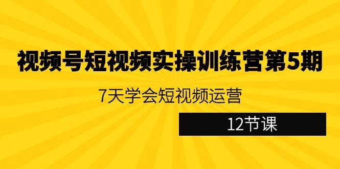 视频号短视频实操训练营第5期：7天学会短视频运营(12节课)-知芽创业社