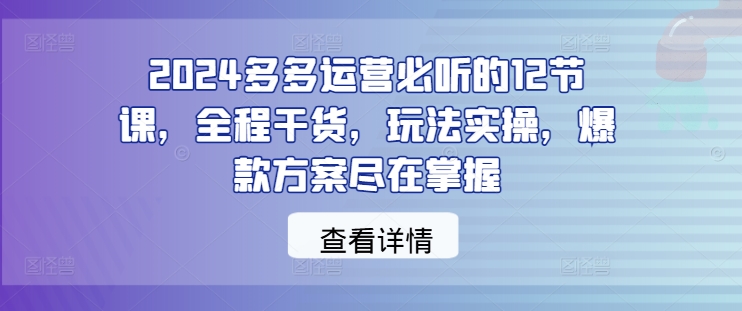 2024多多运营必听的12节课，全程干货，玩法实操，爆款方案尽在掌握-小艾项目网