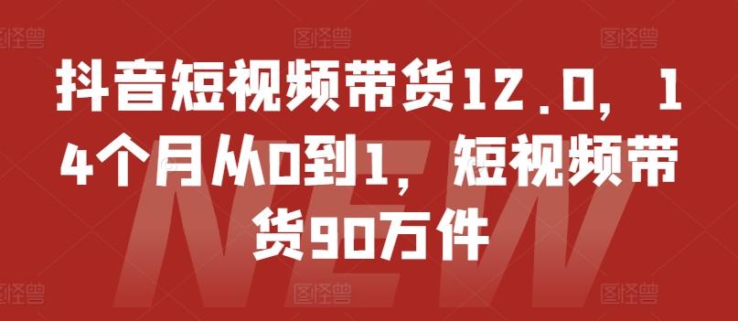 抖音短视频带货12.0，14个月从0到1，短视频带货90万件-知芽创业社