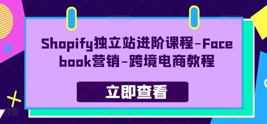 Shopify独立站进阶课程-Facebook营销-跨境电商教程-知芽创业社