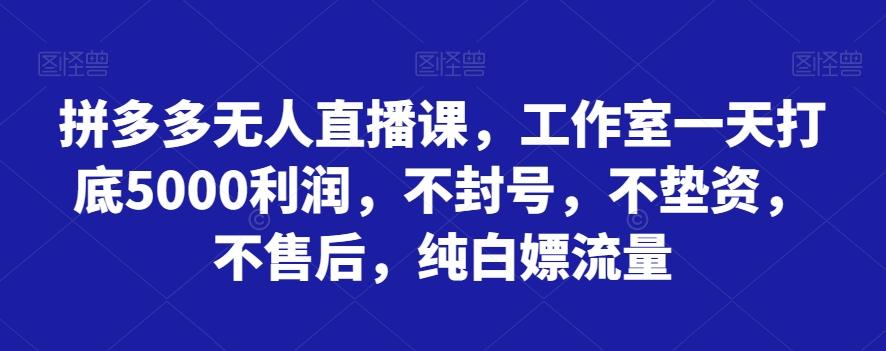 拼多多无人直播课，工作室一天打底5000利润，不封号，不垫资，不售后，纯白嫖流量-知芽创业社
