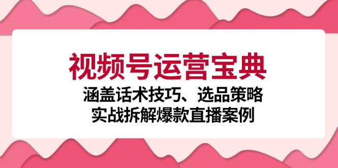 视频号运营宝典：涵盖话术技巧、选品策略、实战拆解爆款直播案例-知芽创业社