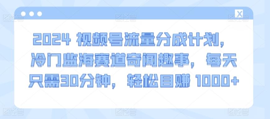 2024视频号流量分成计划，冷门监海赛道奇闻趣事，每天只需30分钟，轻松目赚 1000+【揭秘】-知芽创业社