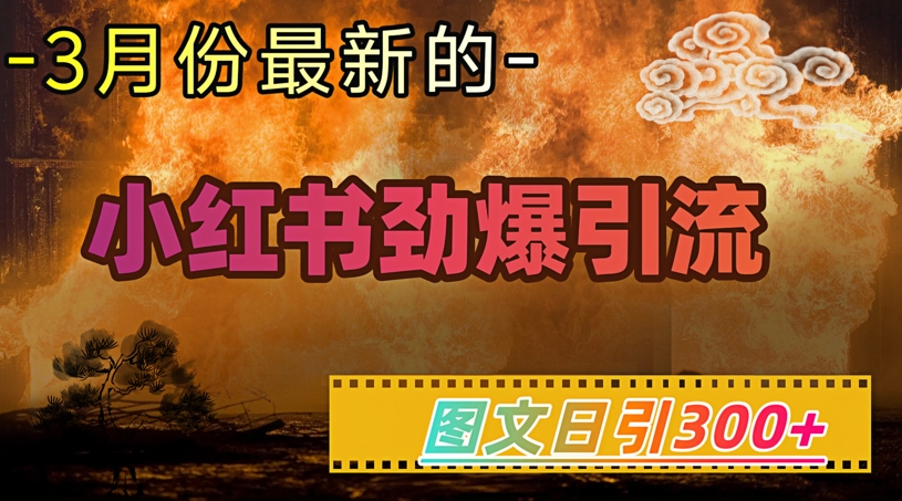 小红书超劲爆引流手段，图文日引300+轻松变现1W-知芽创业社