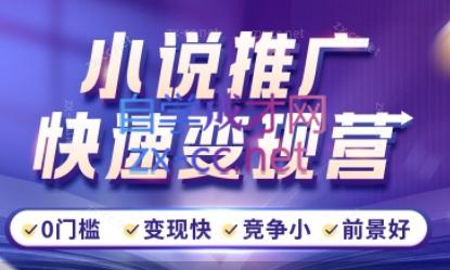洲洲老师·小说推广快速变现营-小艾项目网