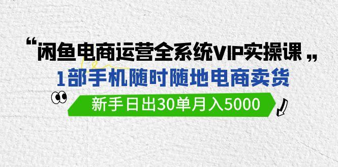 (9547期)闲鱼电商运营全系统VIP实战课，1部手机随时随地卖货，新手日出30单月入5000-知芽创业社