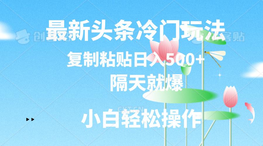 最新头条冷门玩法，隔天就爆，复制粘贴日入500+-知芽创业社