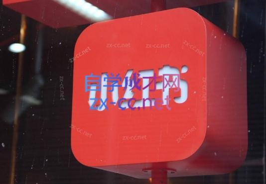 伊伊·红薯【高级班】运营课-知芽创业社