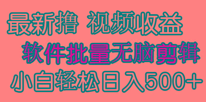 (9569期)发视频撸收益，软件无脑批量剪辑，第一天发第二天就有钱-知芽创业社