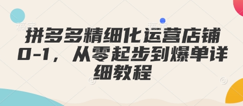 拼多多精细化运营店铺0-1，从零起步到爆单详细教程-知芽创业社