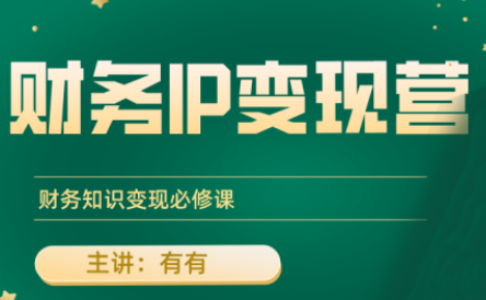 有有老师·财务IP变现营，财务知识变现必修课-知芽创业社