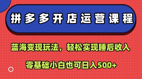 拼多多开店运营课程：蓝海变现玩法，轻松实现睡后收入，零基础小白也可日入5张-知芽创业社