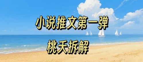 小说推文项目操作全流程第一弹，0粉就能做，门槛低非常适合新手-小艾项目网