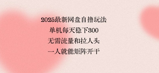 2025最新网盘自撸玩法，单机每天稳下3张，无需流量和拉人头，一个人就可轻松矩阵，全网独一份【揭秘】-知芽创业社