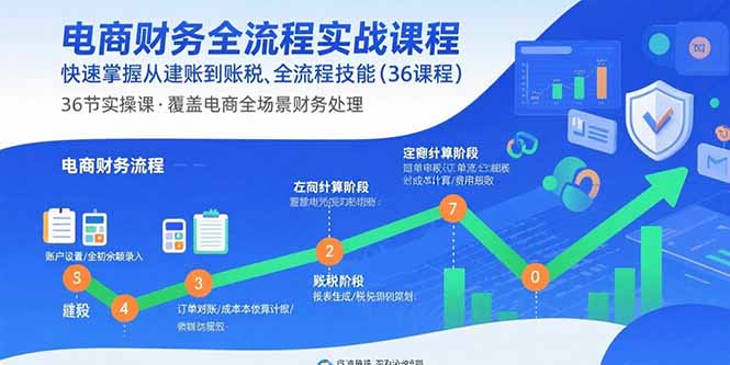 电商财务全流程实战课程：快速掌握从建账到报税的全流程技能(36节课-知芽创业社