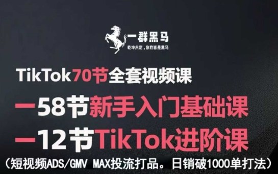TikTok全套视频课，新手入门+进阶课，短视频ADS-GMV MAX投流打品，日销破1000单打法-知芽创业社