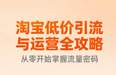 淘宝低价引流与运营全攻略(更新9月)-知芽创业社