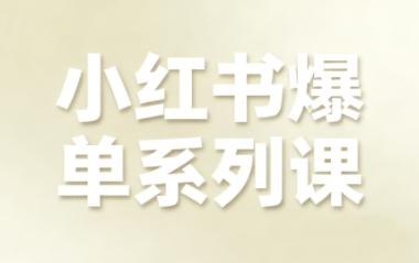 尼采老师·小红书爆单系列课-知芽创业社