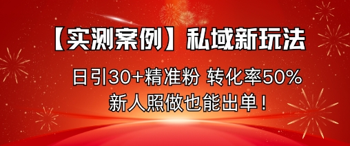 【实测案例】私域新玩法，日引30+精准粉，转化率50%，新人照做也能出单！-小艾项目网