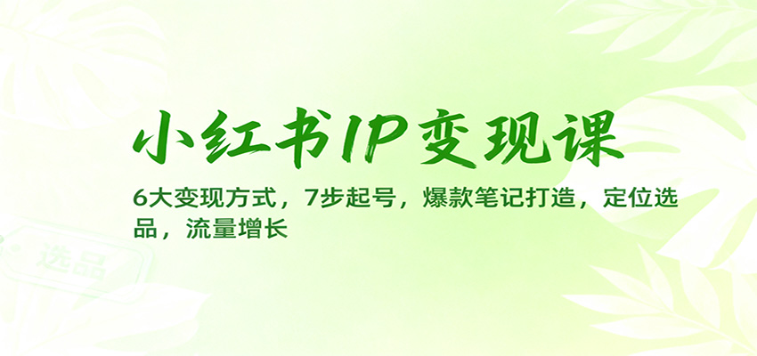 小红书IP变现课：6大变现方式，7步起号，爆款笔记打造，定位选品，流量增长-知芽创业社