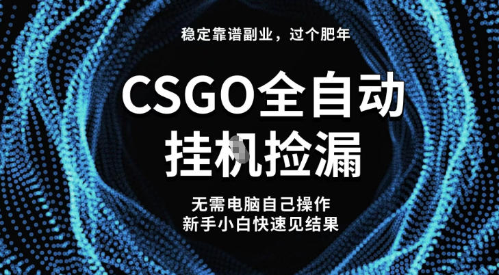 【稳定副业】全球最热门游戏CSGO全自动捡漏，最新玩法，新手小白日入5张+【揭秘】-小艾项目网