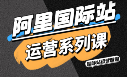 醒目老师·阿里国际站运营系列课(更新11月)-知芽创业社