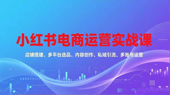 小红书电商运营实战课，店铺搭建、多平台选品、内容创作、私域引流、多账号运营等玩法-知芽创业社