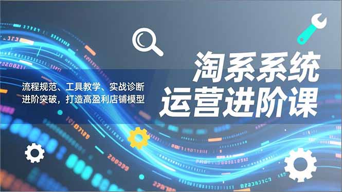 淘系系统运营进阶课2.0，流程规范、工具教学、实战诊断，进阶突破，打造高盈利店铺模型-知芽创业社