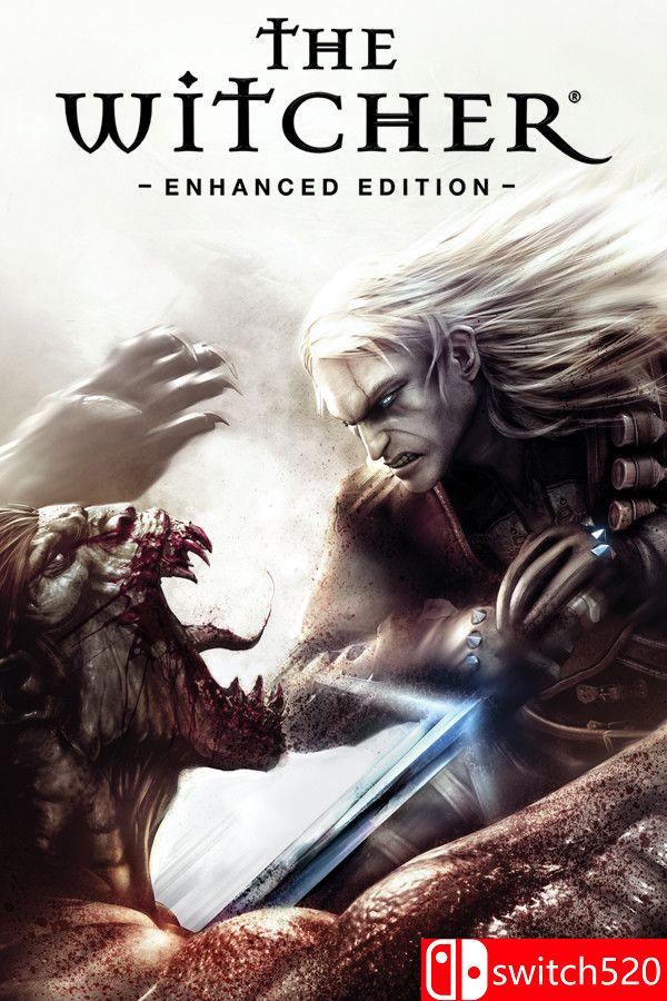 《巫师加强版（The Witcher: Enhanced Edition）》官方中文 v1.5 [繁体/英文]-知芽创业社