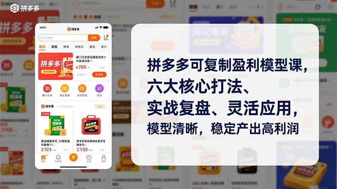拼多多可复制盈利模型课，六大核心打法、实战复盘、灵活应用，模型清晰，稳定产出高利润-知芽创业社