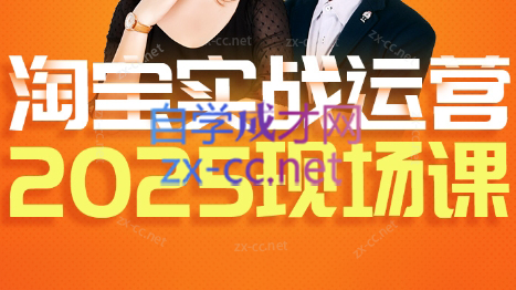 推易·淘宝全套运营现场课程(更新12月)-知芽创业社