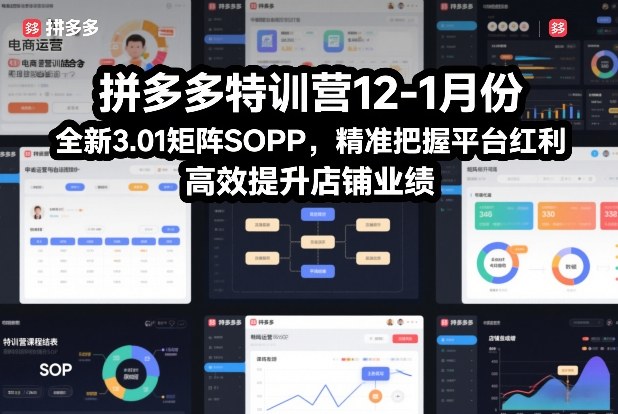 拼多多特训营12-1月份，全新3.01矩阵Sop，精准把握平台红利，高效提升店铺业绩-小艾项目网