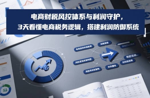 电商财税风控体系与利润守护，3天看懂电商税务逻辑，搭建利润防御系统-小艾项目网