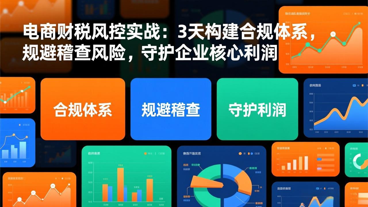 电商财税风控实战：3天构建合规体系，规避稽查风险，守护企业核心利润-小艾项目网