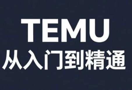 跨境麦冬·TEMU从入门到精通-小艾项目网