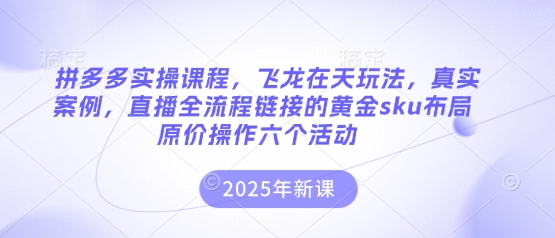 拼多多实操课程，飞龙在天玩法，真实案例，直播全流程链接的黄金sku布局原价操作六个活动-知芽创业社