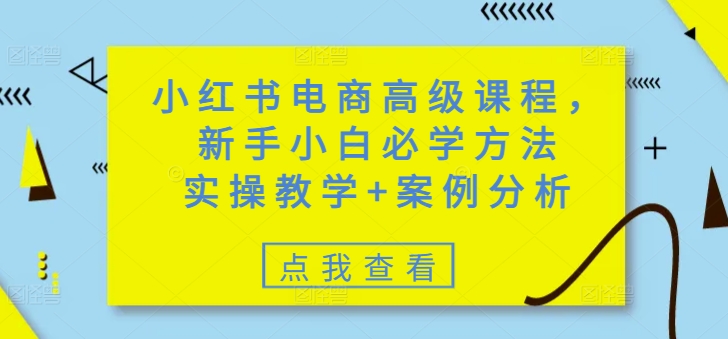 小红书电商高级课程，新手小白必学方法，实操教学+案例分析-知芽创业社