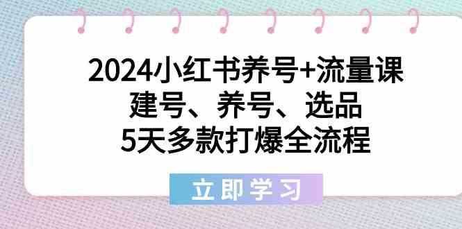 2024小红书养号+流量课：建号、养号、选品，5天多款打爆全流程-知芽创业社