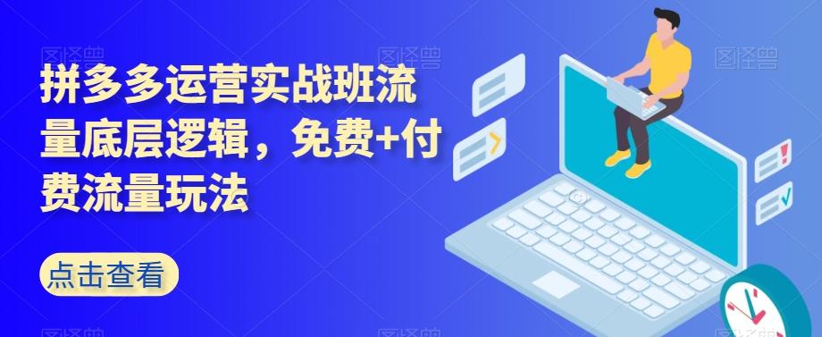 拼多多运营实战班流量底层逻辑，免费+付费流量玩法-知芽创业社