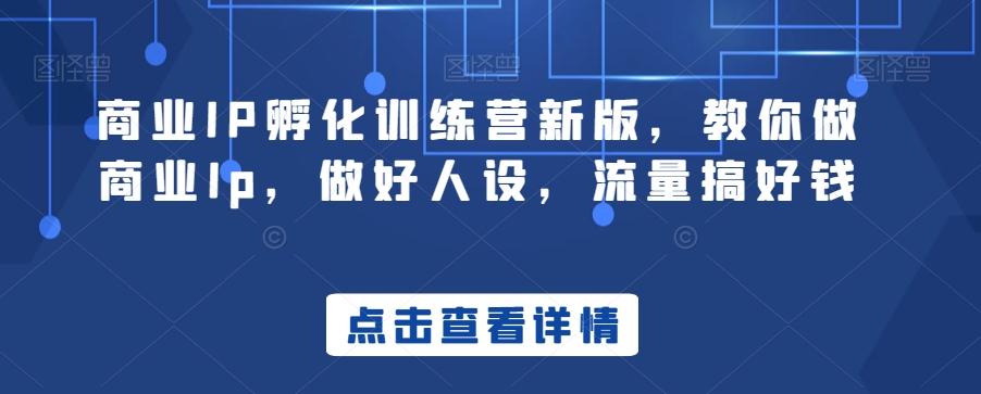 商业IP孵化训练营新版，教你做商业Ip，做好人设，流量搞好钱-知芽创业社