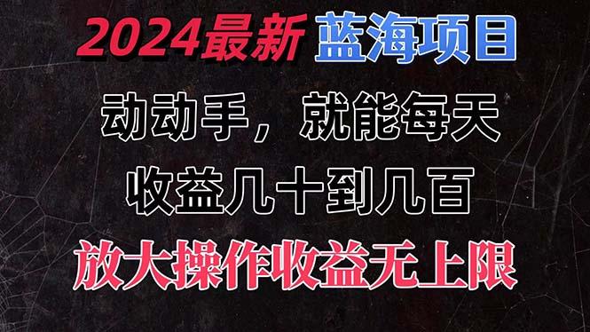 有手就行的2024全新蓝海项目，每天1小时收益几十到几百，可放大操作收…-知芽创业社